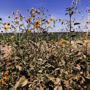 Meet your Posher, Caylie